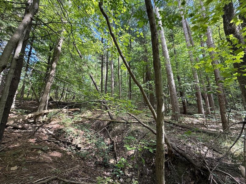 Ontario_2.7_Proseus Photo 31