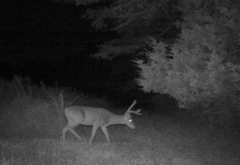 Copy of IMG_3193 Large