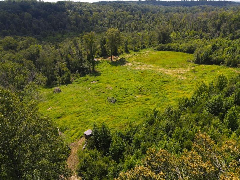 dji_fly_20250729_115252_841_1753804401934_photo