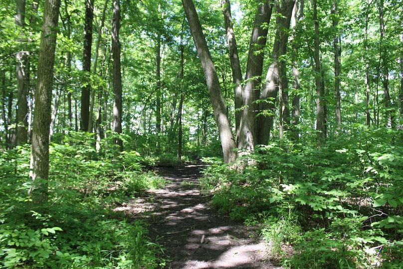 trail 29