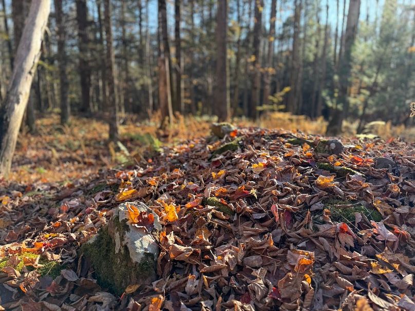 Oswego_26.28_Koehler Photo 30