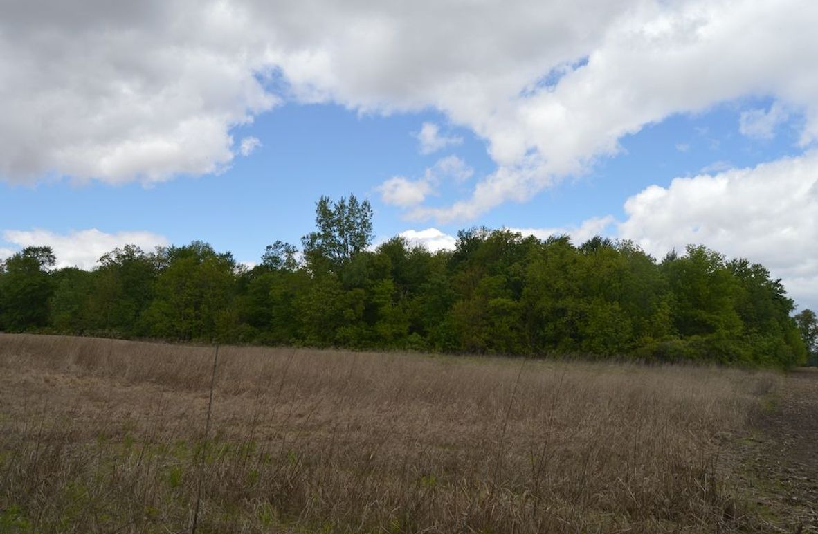 East border