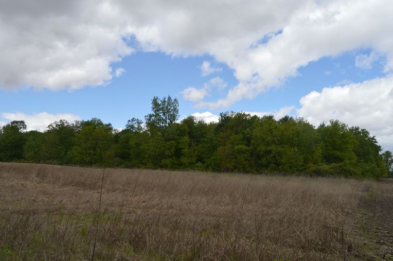 East border