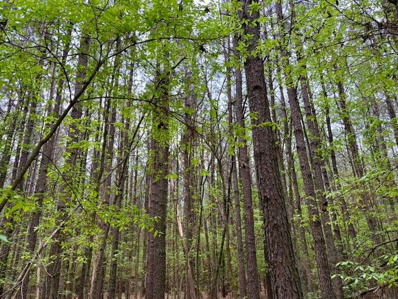 23AA66A6-904F-4B4D-81E5-19531320D9A0_1_105_c