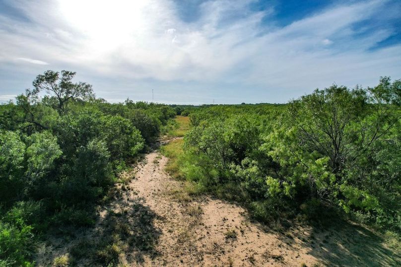 DJI_0653