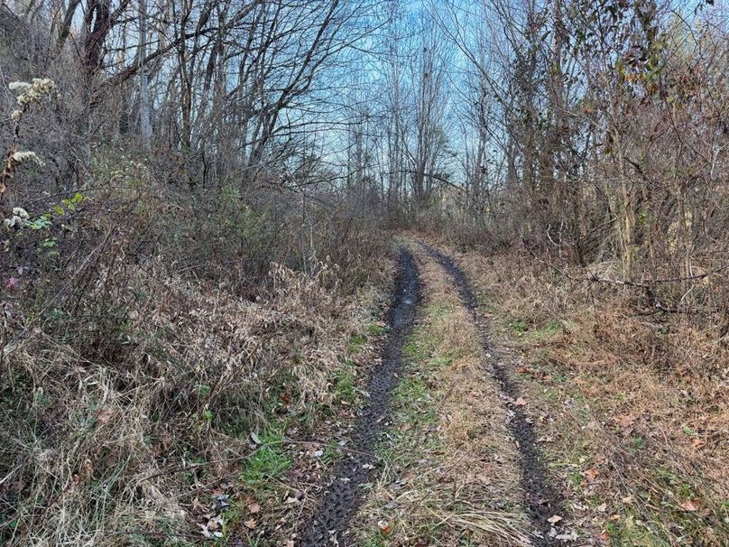 017 more nice trails-2