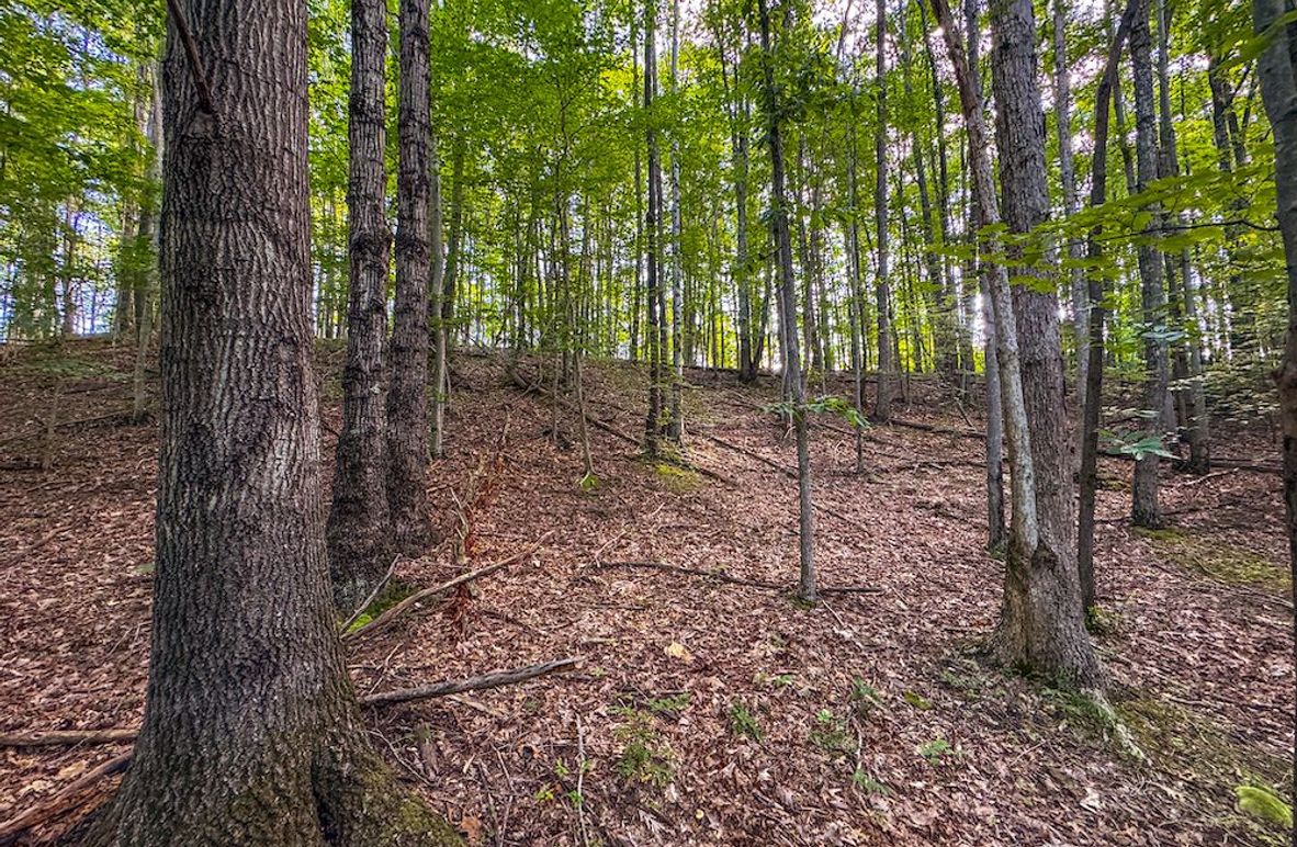 Lewis, WV 82.87 AC Barger-063