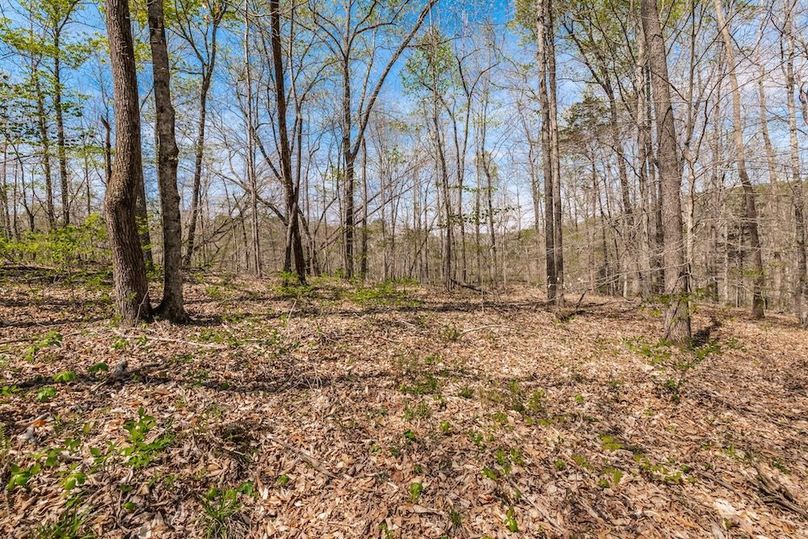 79-web-or-mls-0 Mound Creek Rd-49