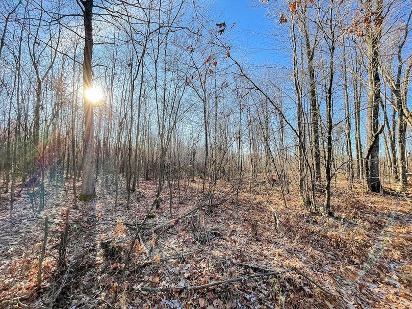 ClarK 160 WILLIAMS -43