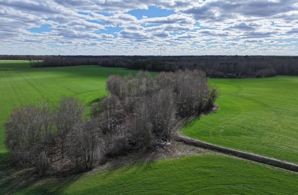 DJI_20250306150611_0002_D