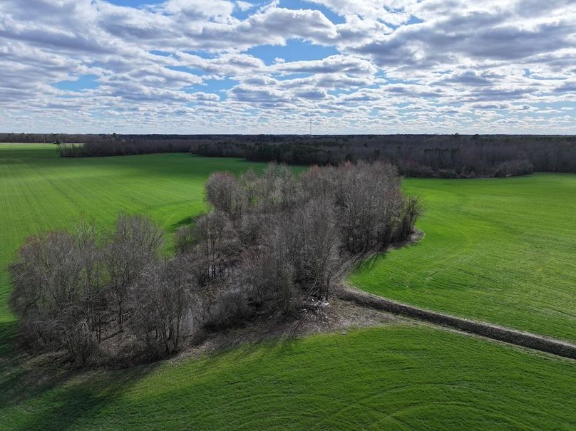 DJI_20250306150611_0002_D