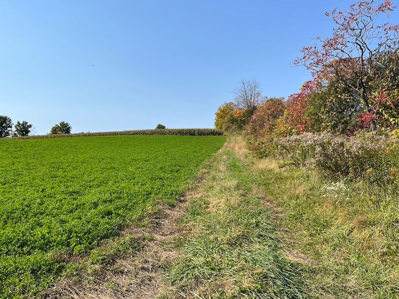 Yates_29_Stape Photo 25