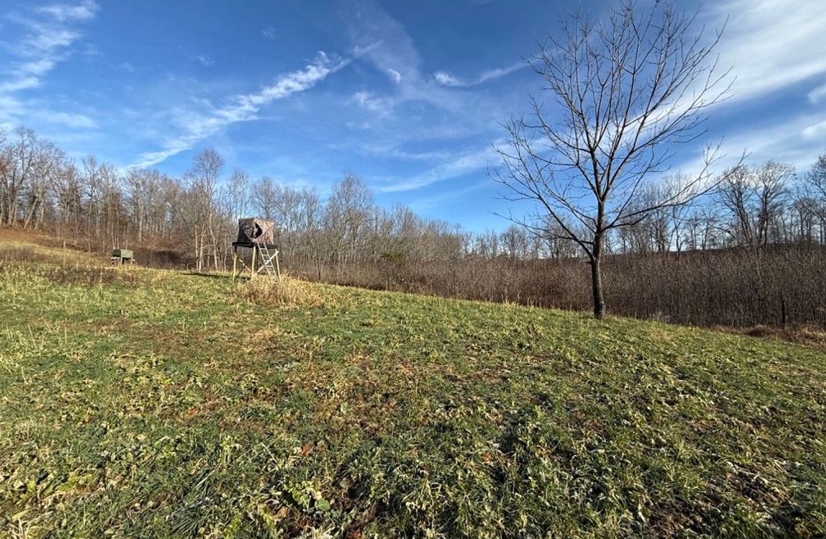 003 foodplot and blind located in the eastern most area of the property