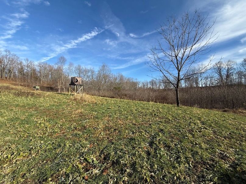 003 foodplot and blind located in the eastern most area of the property