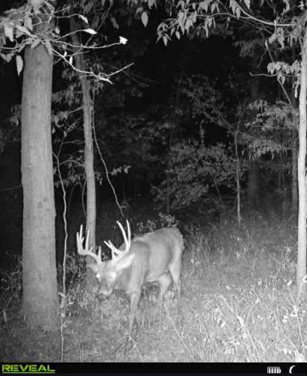 Trail Cam 1