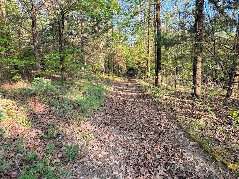 Tallahatchie 44 Newman (Crowden) Wide-41