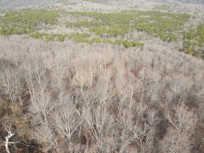 DJI_0632