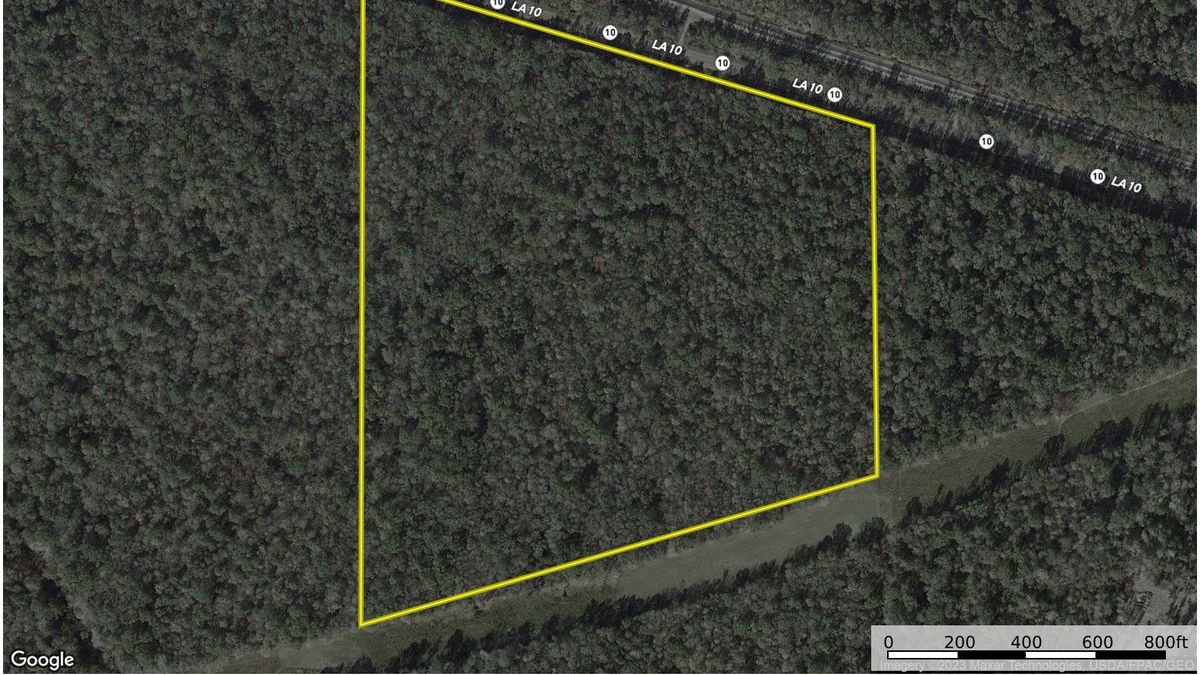 Affordable Timber Tract In Great Location Whitetail Properties