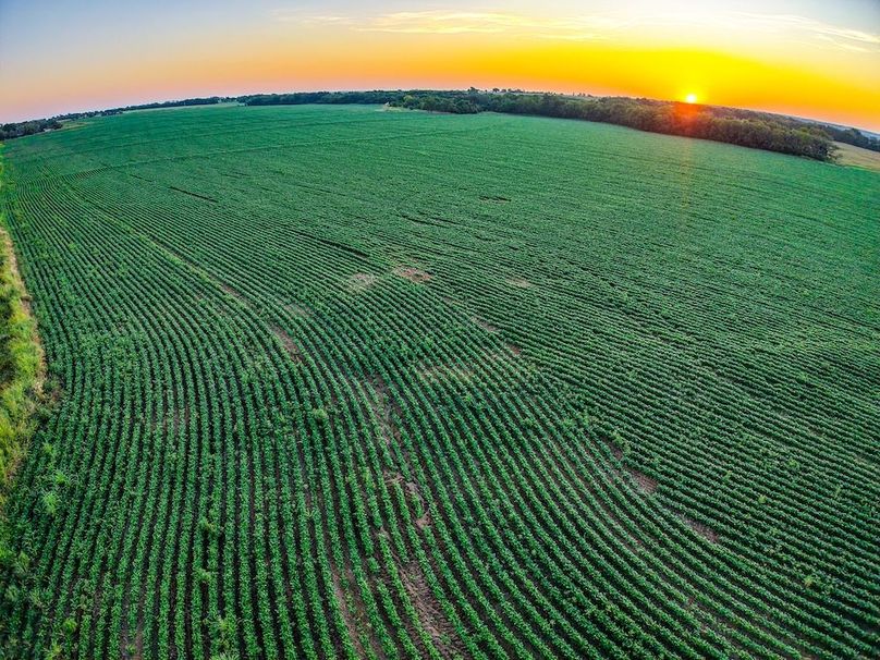 DJI_20250816065049_0698_D