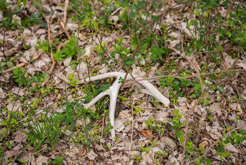 WabaunseeKansas887.39-106