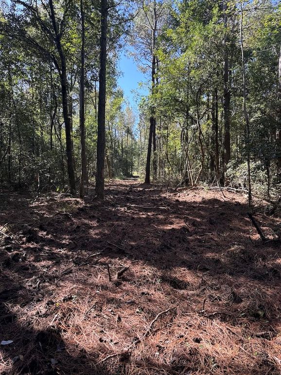 DJI_20251003_105349_064