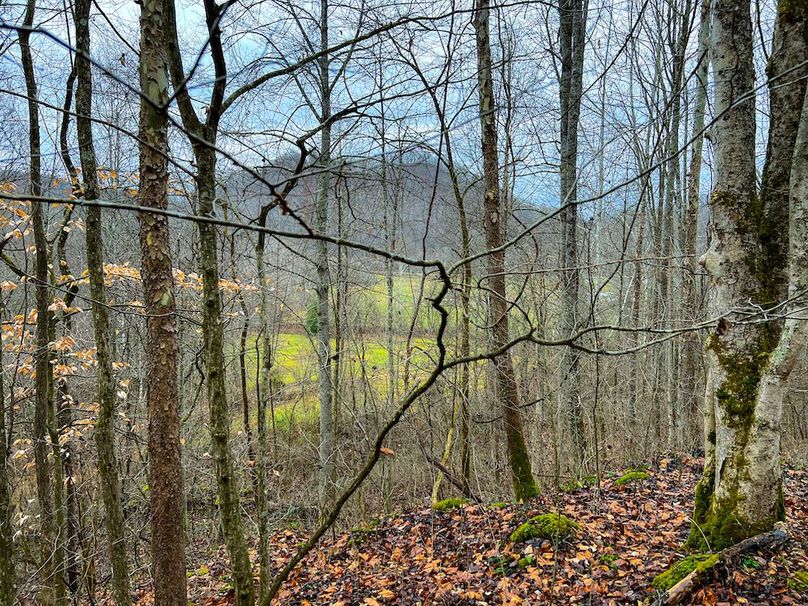 Calhoun, WV 225.69 AC Duffield-30