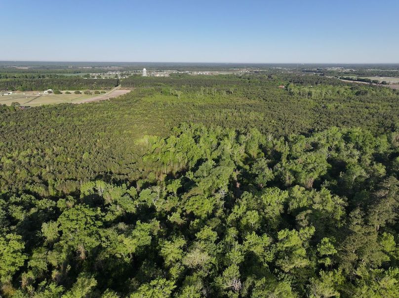 DJI_20250417073138_0013_D