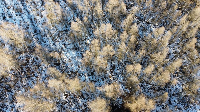 dji_fly_20240131_152950_921_1706897175410_photo_optimized