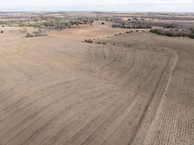 20241106-DJI_20241106115339_0069_D