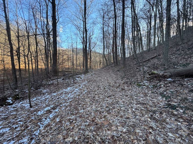 Pleasants, WV 81 AC Barron-11