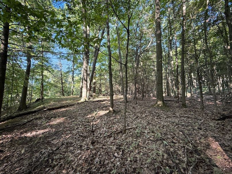 Seneca_65_Engels Photo 41f