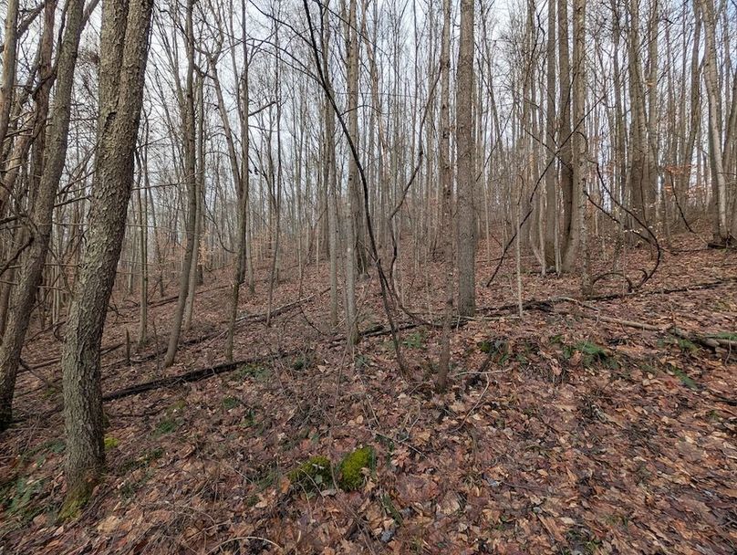 PXL_20260107_181459624.MP