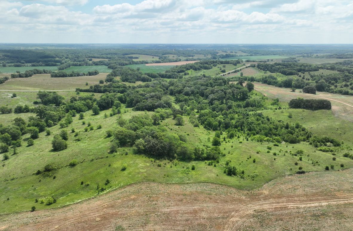 dji_fly_20230625_114218_449_1687717400210_photo