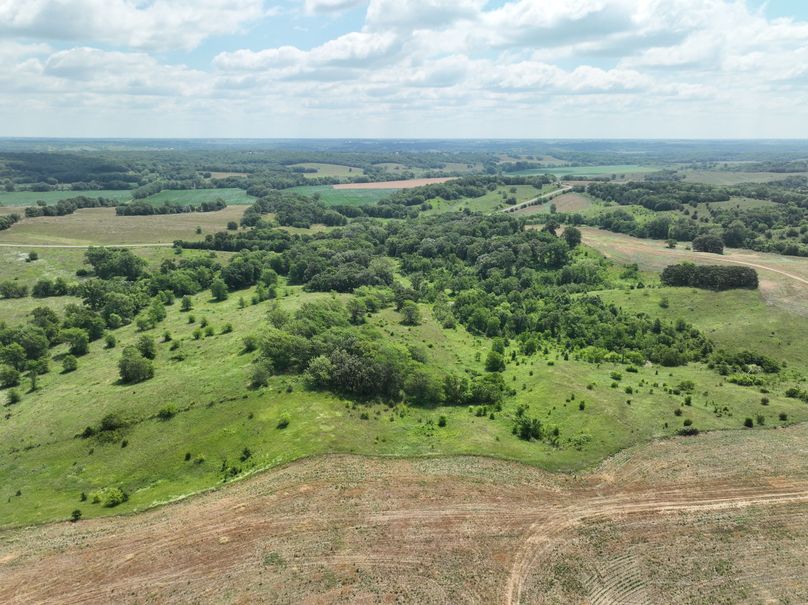 dji_fly_20230625_114218_449_1687717400210_photo