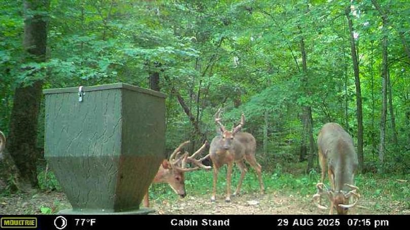 Fleming Petry 115-75