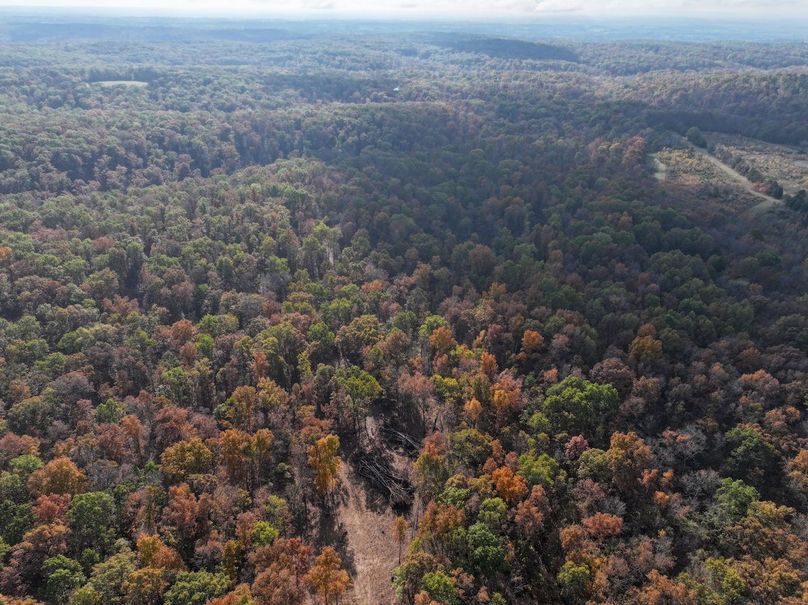 DJI_20251102093850_0803_D