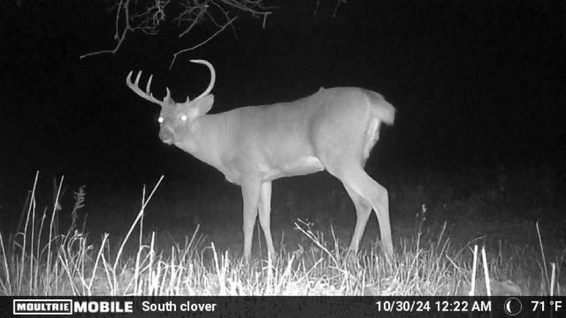 Trailcam13