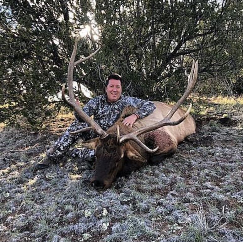 Bull elk harvest 2