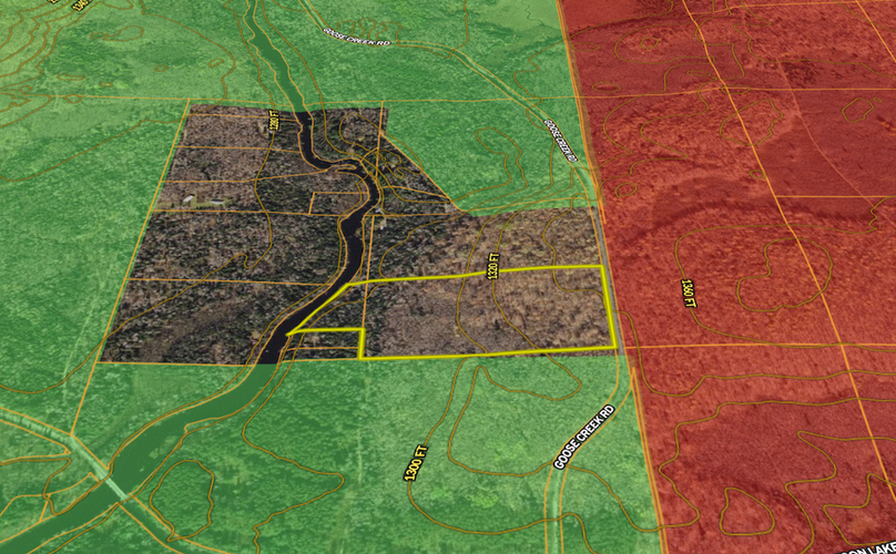 Forest23.92Thorsen midaerial