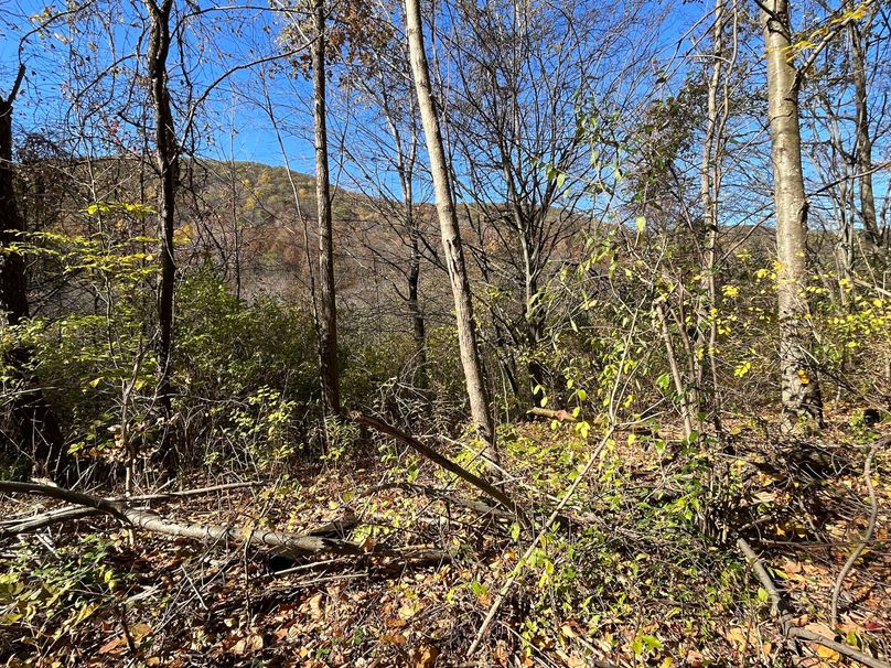 Schuyler_25.155_Ennis_Photos_19