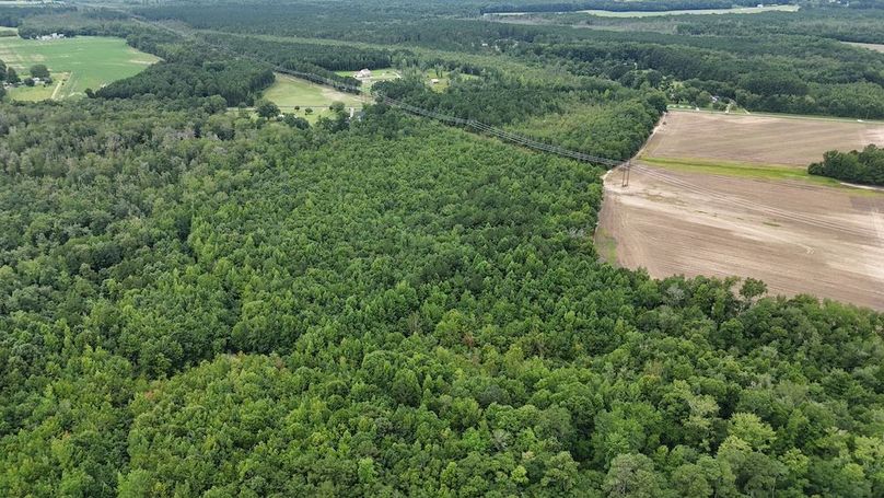 dji_fly_20250715_115428_0607_1752596191602_photo