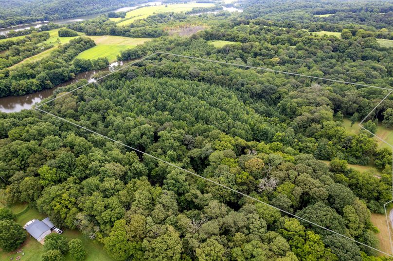 3-web-or-mls-DJI_0006