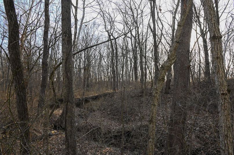 vandalia 450 (2)-2197