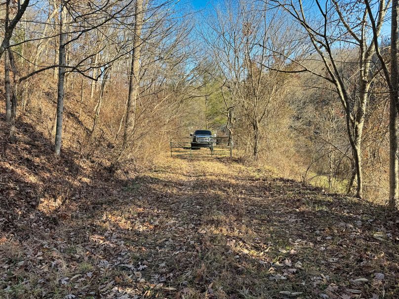032 view of the gated entrance from inside the gate