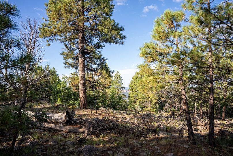 Cibola NM 13,053-01572