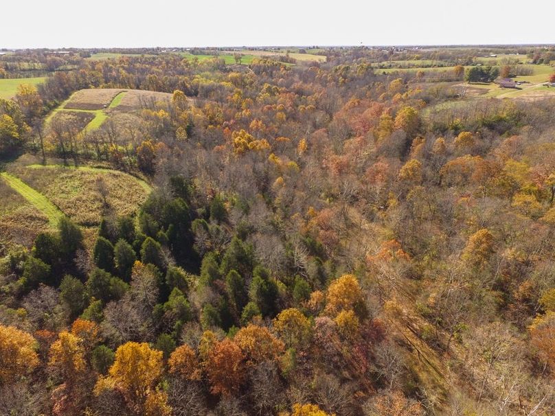 Fleming Petry 120-021