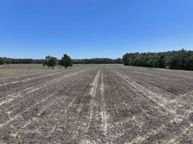 Copy of DJI_20260602143201_0086_D
