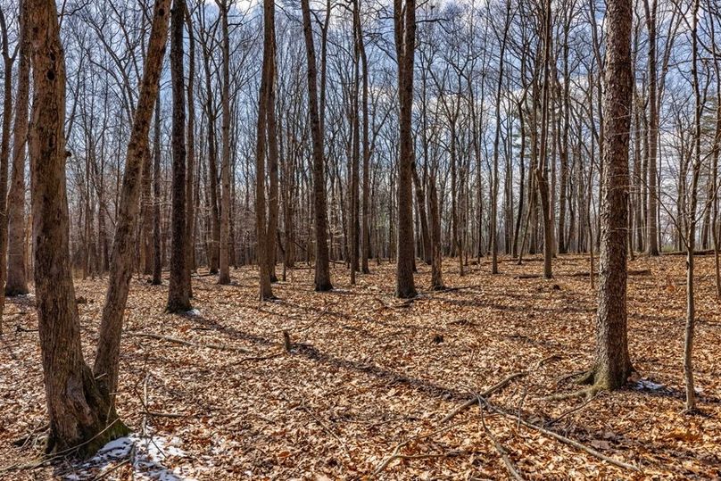 28-web-or-mls-IMG-28