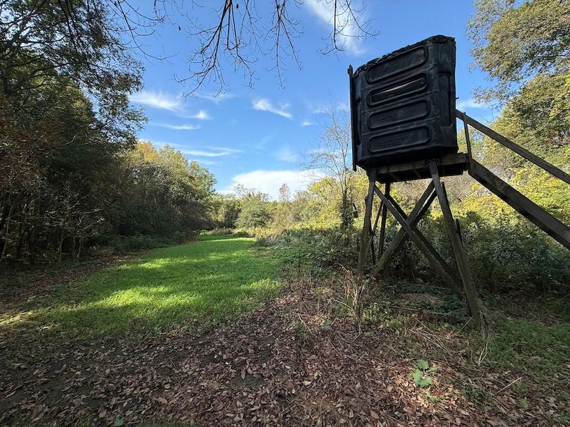 Cayuga_55.02_Herman Photo 28