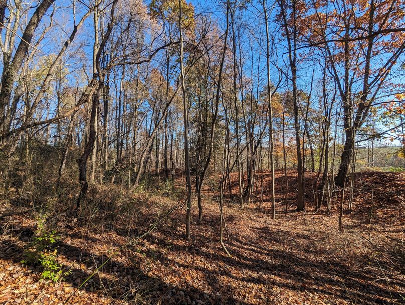 PXL_20231103_154201322